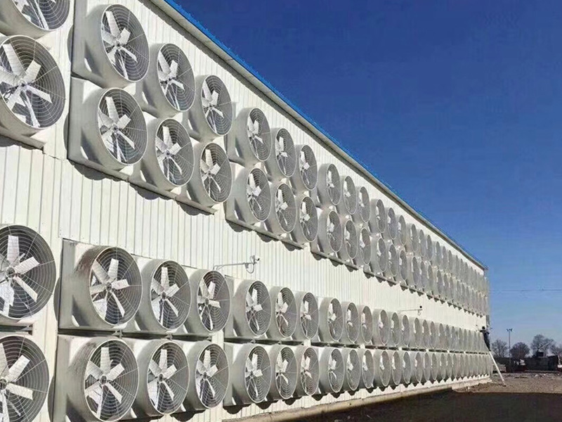 惠州水簾風機降溫工程